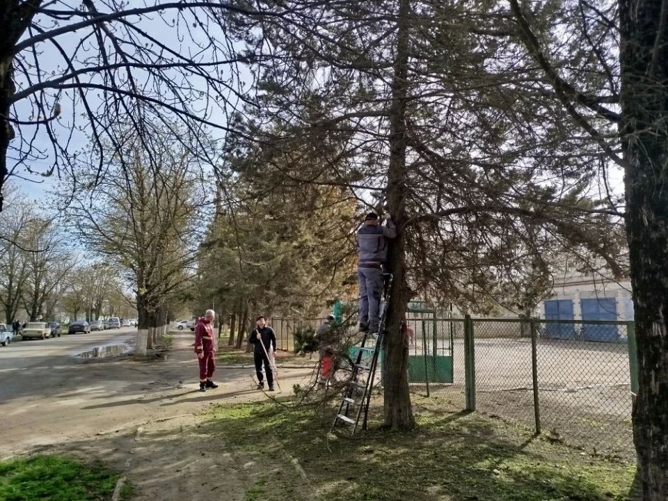 Сотрудники Областного территориального центра экстренной медицинской помощи и медицины катастроф доказали: спасать жизни — это их призвание, а наводить порядок — добрая традиция Сотрудники Областного территориального центра экстренной медицинской помощи и медицины катастроф доказали: спасать жизни — это их призвание, а наводить порядок — добрая традиция