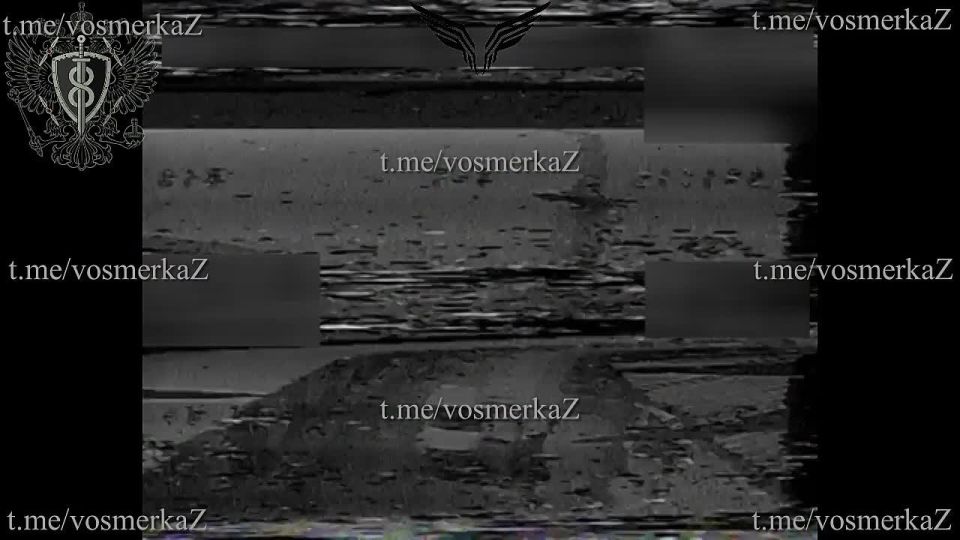 VosmerkaHab: �������� � ���!