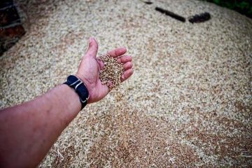 �� ���������� ������ ������ � ������ 390 ����� ����� ������������� �����������