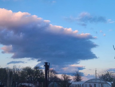 ������� ������ �������� � ����������