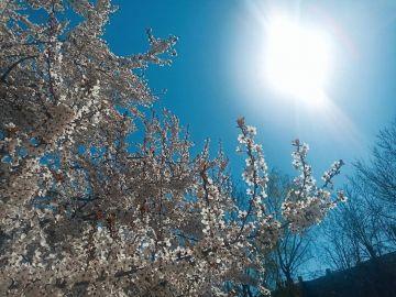 ������� ����, ������!. �������� ����������� ���, �������� ����������, ���������, ������ ���������� ������ � ������ �������� �������! � ��������! �����, �� ��� �������