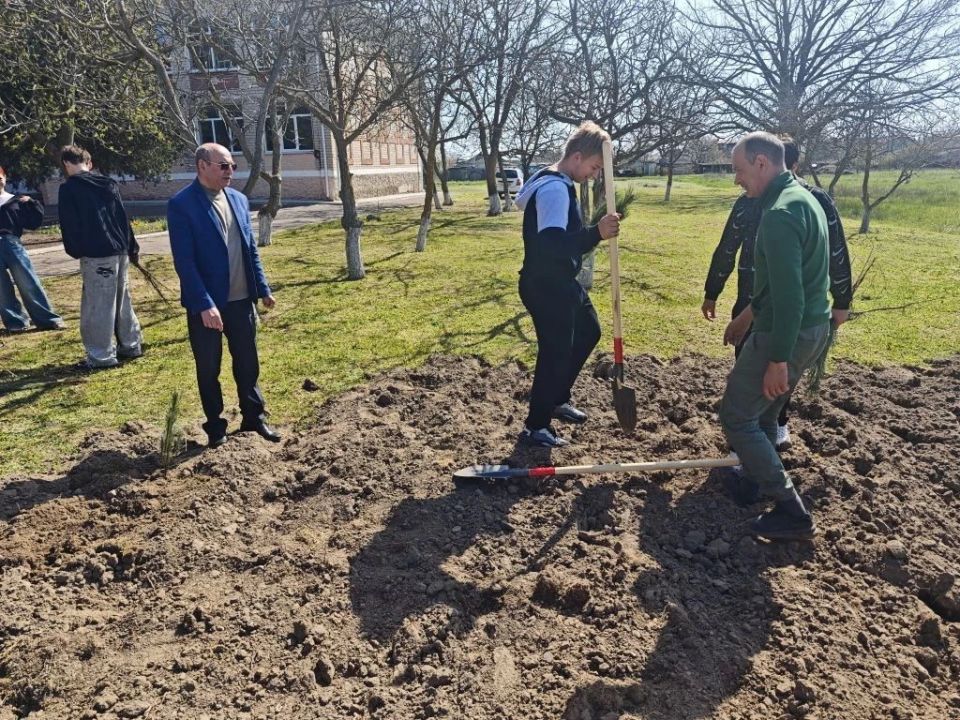 В школе посёлка Лазурное высадили «Сад памяти»: 400 саженцев для памяти и озеленения территории В школе посёлка Лазурное высадили «Сад памяти»: 400 саженцев для памяти и озеленения территории