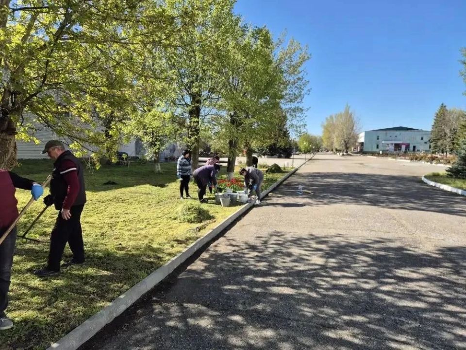 Весна — время наводить порядок! Весна — время наводить порядок!