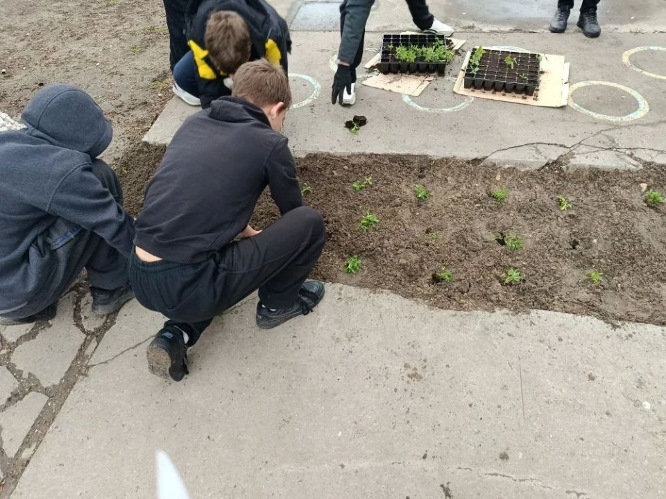 Акция «Мы за чистоту»: юные экологи и лесное хозяйство вместе за порядок Акция «Мы за чистоту»: юные экологи и лесное хозяйство вместе за порядок