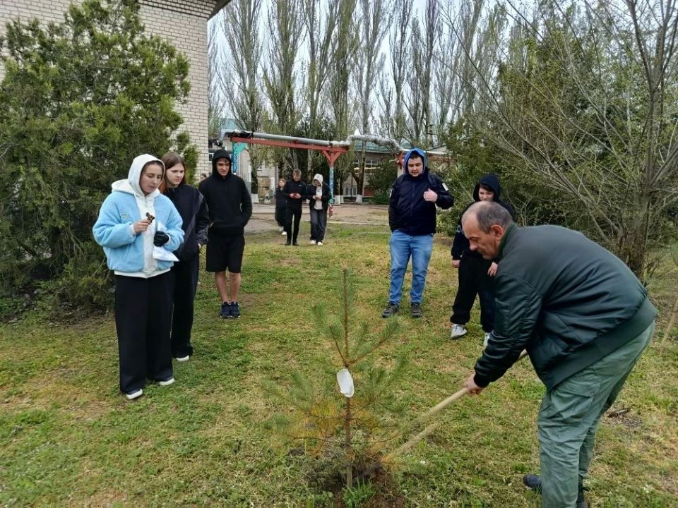 Акция «Мы за чистоту»: юные экологи и лесное хозяйство вместе за порядок Акция «Мы за чистоту»: юные экологи и лесное хозяйство вместе за порядок