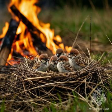 � ����������� �������. � ������ ���� �� ���������� ����� ������� ��������� 29 �������