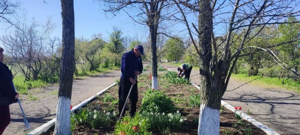 Чистота и порядок: Итоги Всероссийского субботника в Червоном Чистота и порядок: Итоги Всероссийского субботника в Червоном