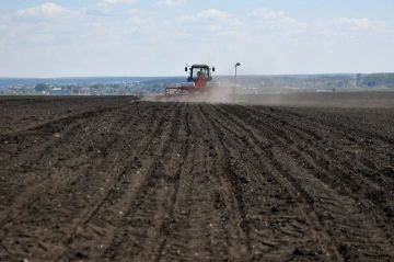 ��������� ��� � ���������� �������: �������� ������ 90 ����� ��������