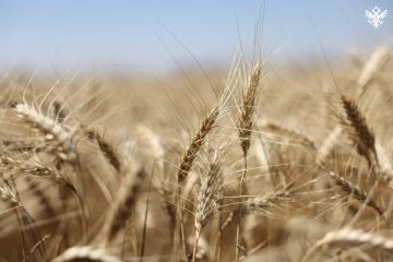 ������� ���������� ������� ������� ����� 90 ����� �������� ��������� ����������