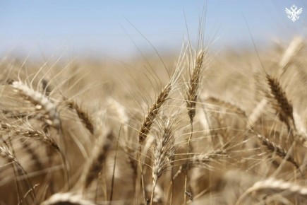 ������� ���������� ������� ������� ����� 90 ����� �������� ��������� ����������