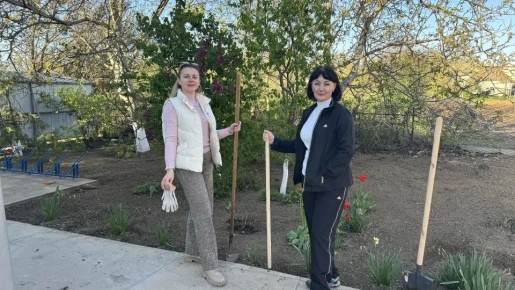 ���������� �������� ����� ���� ������ ������� �� ������������� ���������� ����������� �������������� ������