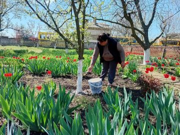 ��������� ����������������� ����� ������ ������� �� ������������� ����������