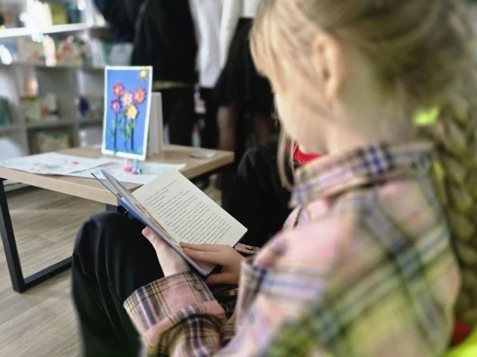 Модельная библиотека в Брилевке – центр культуры и просвещения Модельная библиотека в Брилевке – центр культуры и просвещения