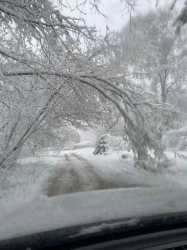 �������� ������: ��������� ���������� � ������ ���������� ������ � ������ ���� � ������ ������� �� ���� ���������, �������� � ���������