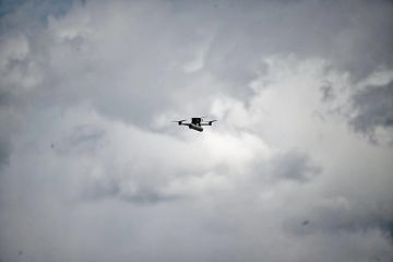 ��� ������������ ���������� ���������� ������� �� �������� ��������