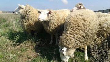 � ��������� �������������� ��������-���� ������� ����� ��� �������� ����