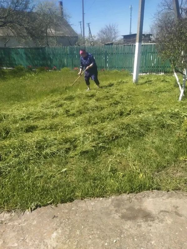 В Новосемёновском территориальном отделе прошел настоящий марафон чистоты В Новосемёновском территориальном отделе прошел настоящий марафон чистоты