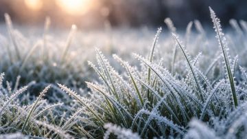 � ���������� ������� ��������� ��������� �� -5��