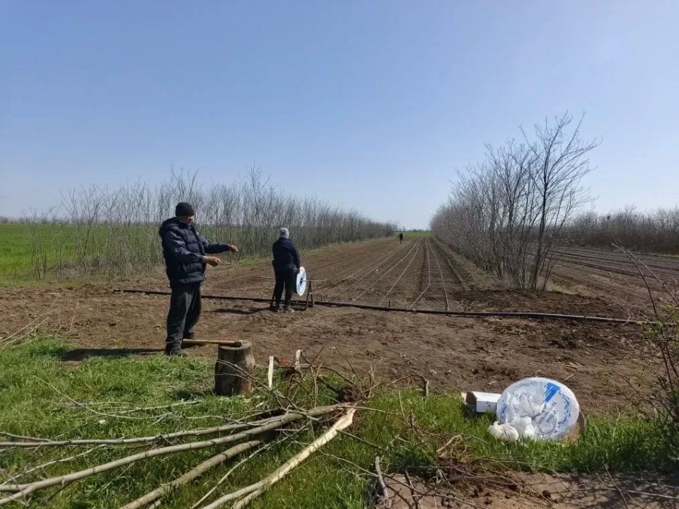 В селе Андреевка Новотроицкого района сотрудники лесного хозяйства установили систему капельного полива В селе Андреевка Новотроицкого района сотрудники лесного хозяйства установили систему капельного полива