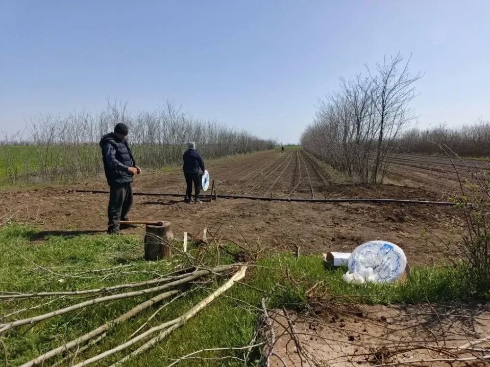 В селе Андреевка Новотроицкого района сотрудники лесного хозяйства установили систему капельного полива В селе Андреевка Новотроицкого района сотрудники лесного хозяйства установили систему капельного полива