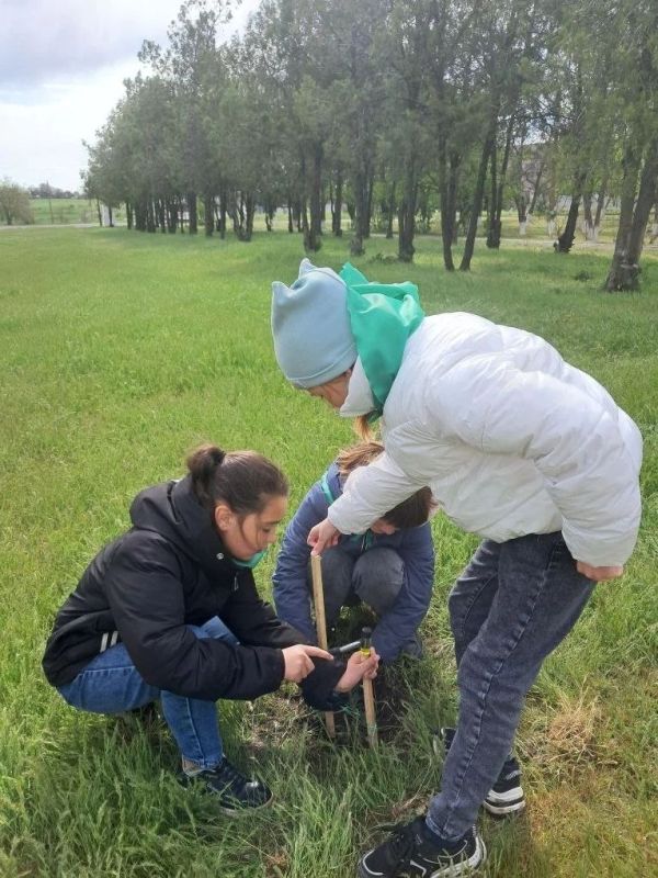 Юные защитники природы: в «Верхнесерогозской школе» прошли экоуроки Юные защитники природы: в «Верхнесерогозской школе» прошли экоуроки