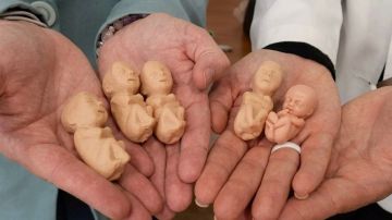 �������� ���������� ������� ������������ �� ���������� ������������