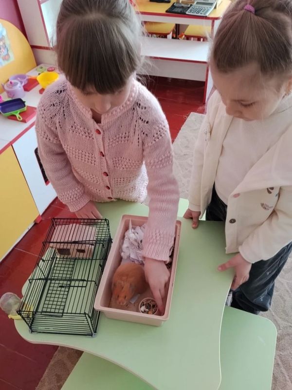 «День Эколят»: занятие во Владимировском детском саду «День Эколят»: занятие во Владимировском детском саду