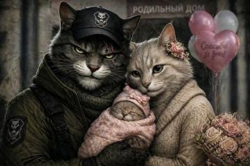 ������� � ������ �����, ��������� ��������� ���� 328-�� ������������ ����� ���, ��������� ����� ������ ������� � ����� � �������� ������