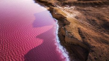 �����-��������� ������� �������� ��� ���������� ���������� ������� ������