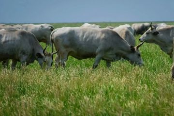 ��������-���� ��������� ����� �������� ������� ���������� ������ ������ �����