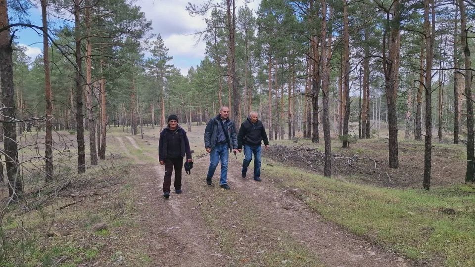 Голопристанский лесхоз усилил противопожарный патруль в лесных массивах района Голопристанский лесхоз усилил противопожарный патруль в лесных массивах района