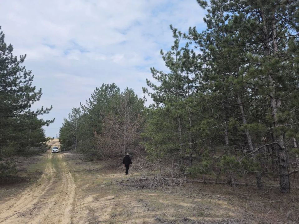 Голопристанский лесхоз усилил противопожарный патруль в лесных массивах района Голопристанский лесхоз усилил противопожарный патруль в лесных массивах района