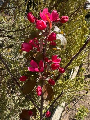 ������� � �������.... ���� ���������� ���������� ��������� ������� ������ � "����� � ����� ������/�������"