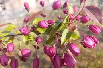 �������� ������� ����� ������: ����� ������ ����� � ���������� ������� 29 ������ 2026 ����