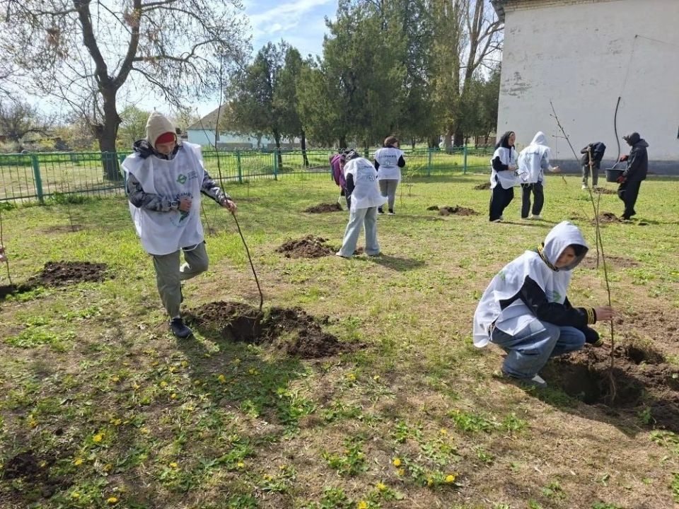 В Приморской общеобразовательной школе Скадовского округа прошла торжественная акция «Сад памяти» В Приморской общеобразовательной школе Скадовского округа прошла торжественная акция «Сад памяти»