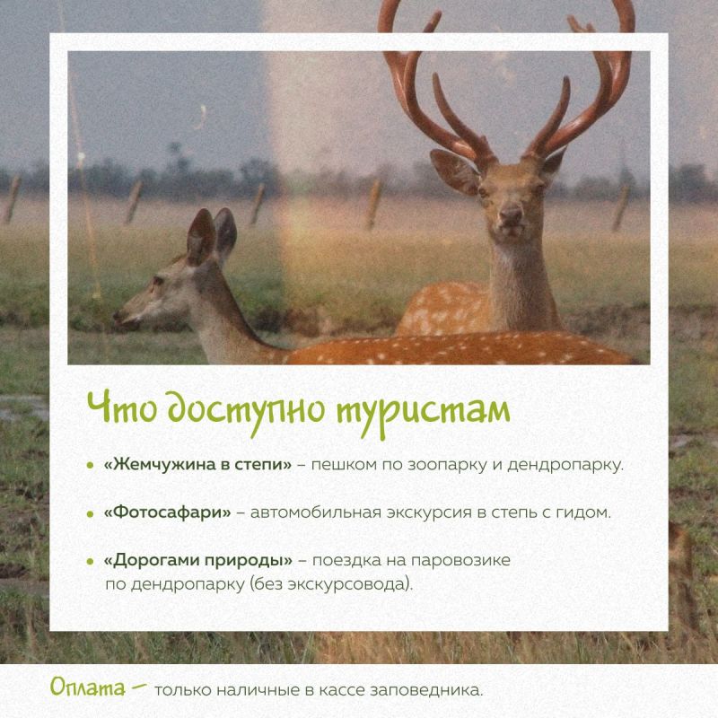 Сегодня в биосферном заповеднике «Аскания-Нова» состоялось торжественное открытие туристического сезона Сегодня в биосферном заповеднике «Аскания-Нова» состоялось торжественное открытие туристического сезона