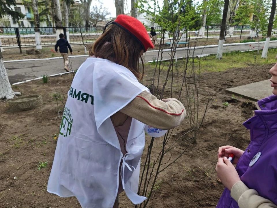 В школе №1 города Скадовска заложили «Сад памяти» в рамках Всероссийского субботника «Мы за чистоту» В школе №1 города Скадовска заложили «Сад памяти» в рамках Всероссийского субботника «Мы за чистоту»