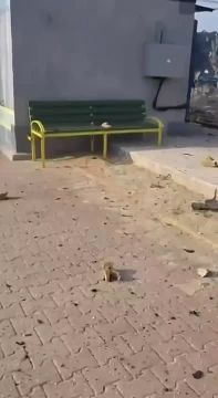 �������. ������ � ������ �������� ����