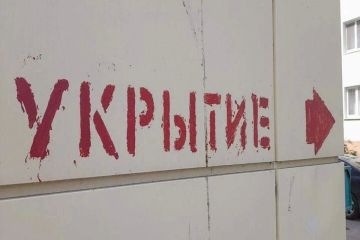 ���������� ������: ���������� ��� ���������� ����, ������ � ��� ��������
