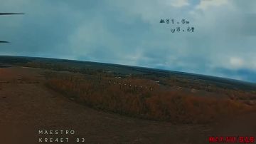 ���� �� �������: ������������ ������ ����� ������ ��������������� ���� "������" 83 �� ����� � ���������� ���� � ������� �������