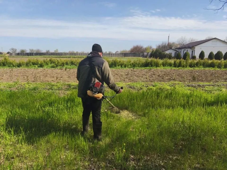 В Новотроицком питомнике стартовала прополка молодых сеянцев для защиты будущего леса В Новотроицком питомнике стартовала прополка молодых сеянцев для защиты будущего леса