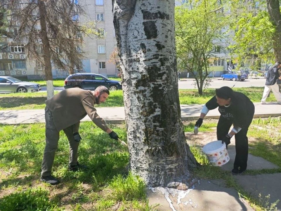 В Каланчаке состоялась серия субботников по благоустройству парков, памятников Великой Отечественной войны и центральной улицы поселка, посвящённая 81-й годовщине Великой Победы В Каланчаке состоялась серия субботников по благоустройству парков, памятников Великой Отечественной войны и центральной улицы поселка, посвящённая 81-й годовщине Великой Победы