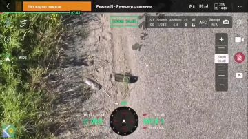 ������ �� ���� ����� �� ������� ������������ ������������
