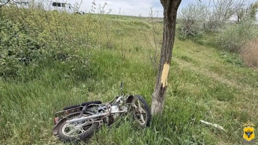 ���� ������� �����, ��� ���� ��������� � 8 �� 10 ��� � ���������� ��� � ���������� �������