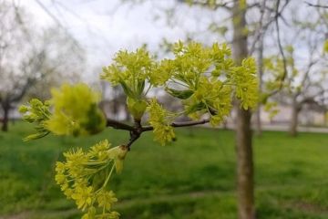 �������� �������� �������: ����� ������ ����� � ���������� ������� 14 ��� 2026 ����