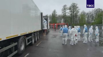 Россия передала Украине 526 тел погибших военных и получила 41 тело российских бойцов, сообщил источник РИА Новости