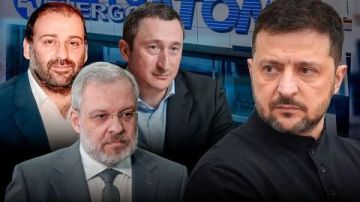 Енот из Херсона: В «Слуге народа» давно зреет тихая паника, которую прикрывают ритуальными фразами о единстве
