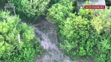 ���� ����� ������� ���������� ���������� � �������� ������� ����������