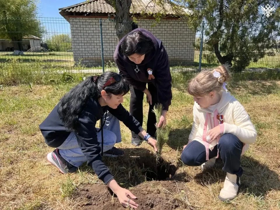 Школьники Скадовского округа высадили 120 деревьев в память о героях Школьники Скадовского округа высадили 120 деревьев в память о героях