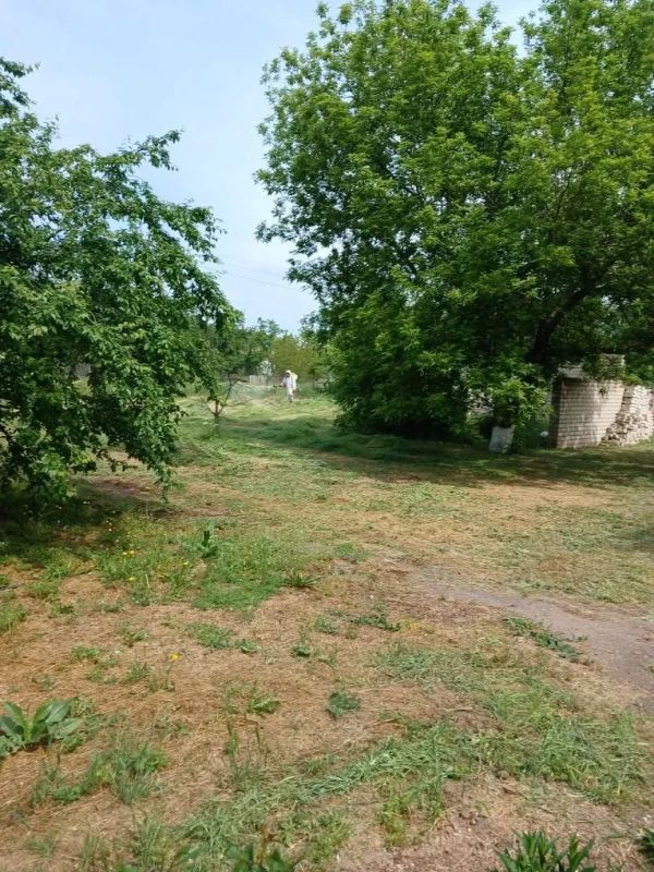 В населённых пунктах Чаплинского муниципального округа проводится акарицидная обработка В населённых пунктах Чаплинского муниципального округа проводится акарицидная обработка